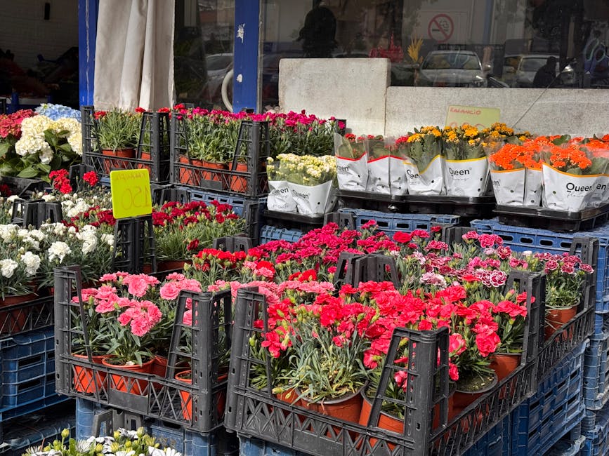 Outdoor display of various potted flowers at a florist's market, featuring vibrant pink, red, orange, white, and yellow blooms arranged in terracotta pots. The flowers include carnations, marigolds, a