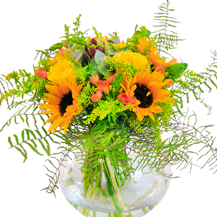 Radiating sunlit elegance, this bouquet brings together the best of Gospel Oak's local charm-rousing sunflowers and rich yellow garden roses arranged in a stylish, fishbowl-like glass vase. Each sunflower's nectar-bright petals ring a bold, brown centre, drawing the eye and symbolizing friendship and cheer-echoing the sense of community found along Gospel Oak's leafy residential streets. Interwoven among these are roses in creamy shades of yellow, their perfectly spiralled centers offering plush texture and enduring grace. Lively clusters of scarlet hypericum berries are thoughtfully positioned to pop against the bouquet's golden glow, much like bursts of laughter on a warm afternoon in Lismore Circus. Varied greenery spills from the arrangement: long, feathery fern fronds, sprigs of goldenrod adorned with delicate yellow blossoms, and wispy green spikes, all anchored by round, dusky eucalyptus leaves that soften the overall effect. The composition is both contemporary and welcoming, the clear vase providing a window into the careful artistry and freshness at the heart of every Gospel Oak creation. This arrangement is suited for celebratory moments-birthdays, reunions, anniversaries-or to bring an uplifting note to a quiet home. Every bloom, berry, and leaf is selected with care by local florists, echoing the natural beauty and heartfelt connections that make Gospel Oak special.